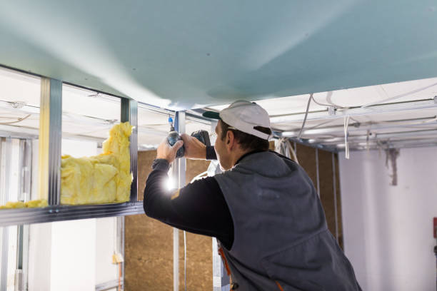 Best Insulation for New Construction  in Elkader, IA