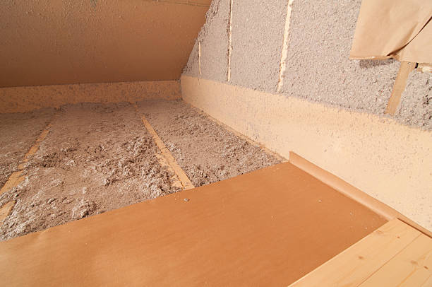 Best Insulation for New Construction  in Elkader, IA